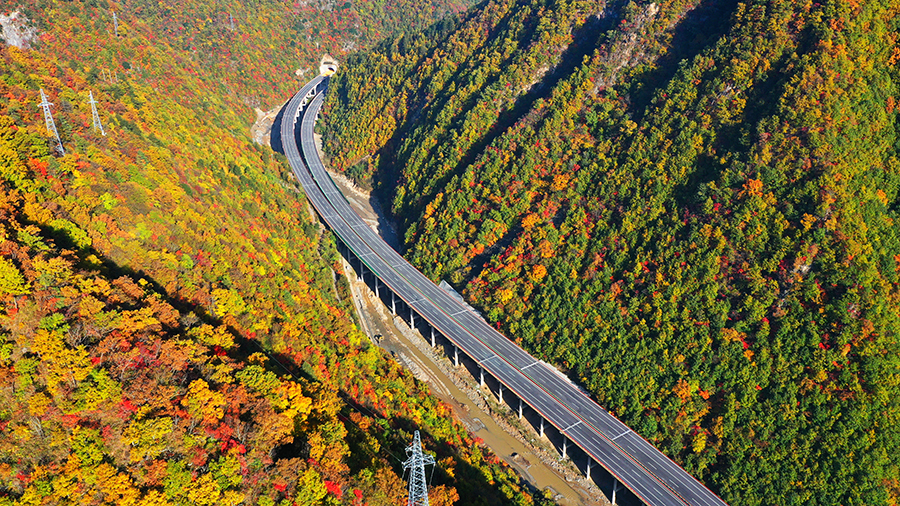项目技术团队积极探索，攻克了秦岭山区高陡地形条件下的隧道进洞、浅埋偏压隧道开挖、山区河床桩基涌水、高陡边坡深挖路堑施工等施工难题。全力保安全、推进度，统筹抓好各项工作，实现重点突破，为工程通车打下了坚实的基础。图为通车后的宝坪高速公路岩湾至坪坎段。（白鹏娃 摄）