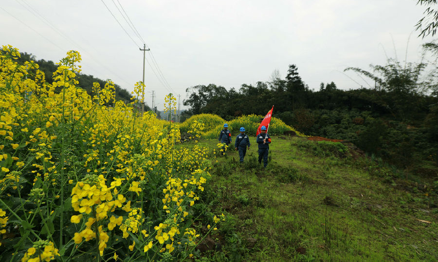 2月24日，南方电网贵州赤水供电局党员服务队在赤水市大同镇田间地头检查线路。