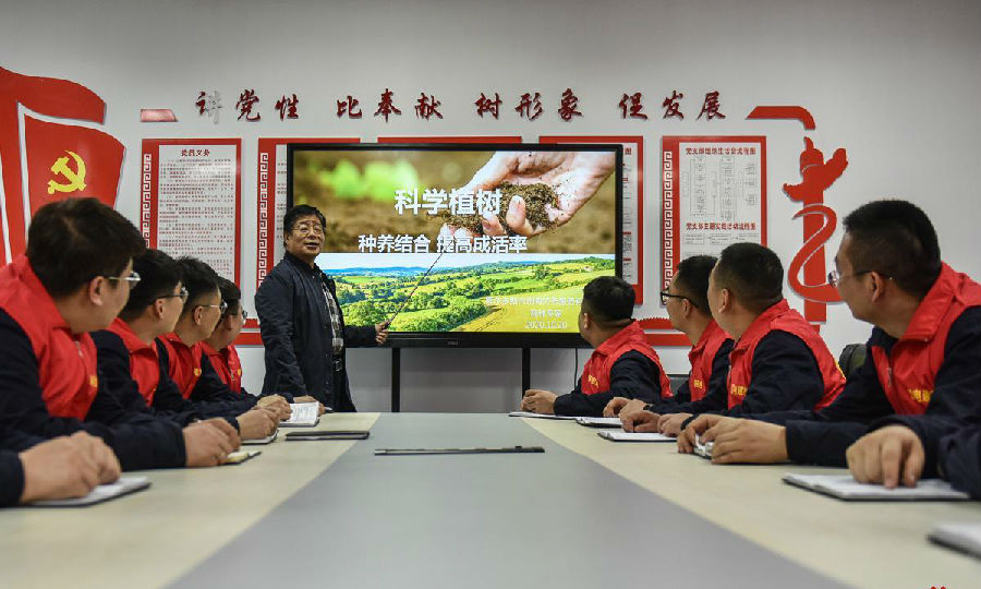 为了提高种植成活率，工作人员认真学习植树知识。（孙丁 摄）