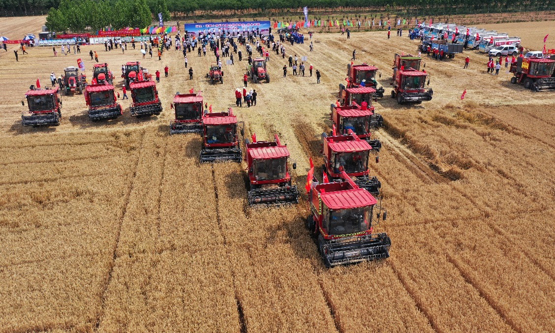 在“机收减损技能大比武”活动现场，十几台东方红小麦联合收割机在田间紧张作业。工作人员对东方红小麦联合收割机收割后的路线分成几个区块进行筛选，认真检验。此次比武活动考验了东方红小麦联合收割机的减损技术，保证颗粒归仓。