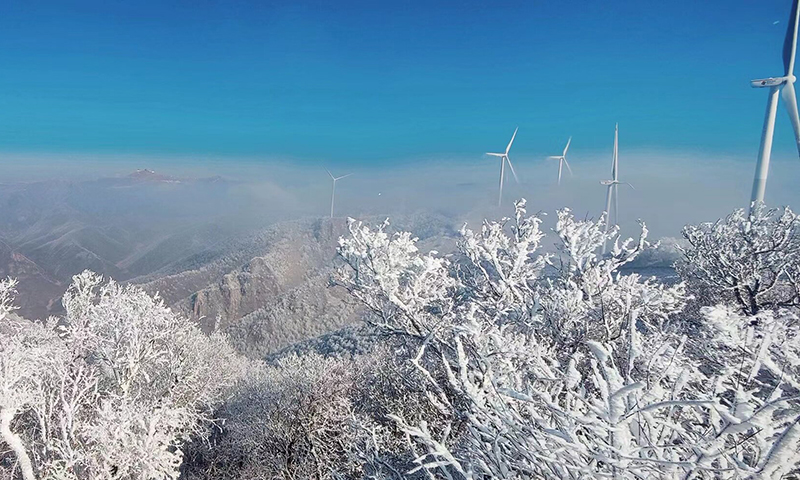 该项目位于山西省吕梁市岚县大蛇头乡，项目安装6台容量为3650千瓦及1台容量为3350千瓦（限发3100千瓦）的风力发电机组。项目投产后，将更加充分利用当地丰富的风能资源，减轻环境污染，减少温室气体排放，每年可节约标准燃煤为1.78万吨，对优化能源结构、推动节能减排、实现经济可持续发展具有重要意义。