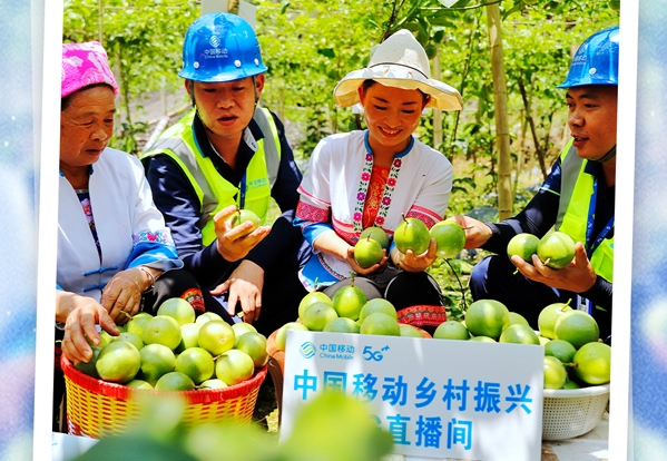 从“信息孤岛”到“数字高地”！广西边寨的蝶变之路