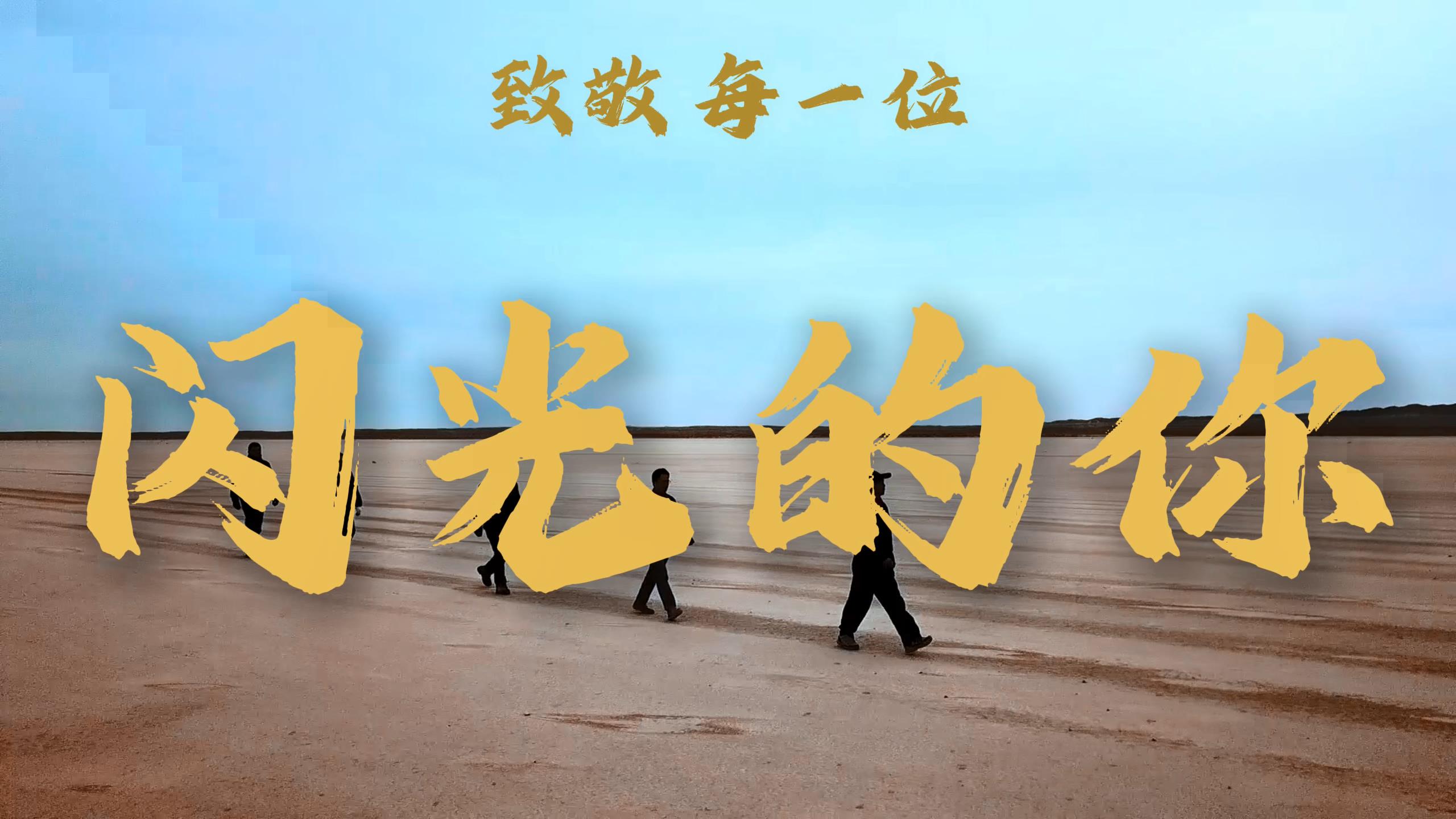 闪光的你
