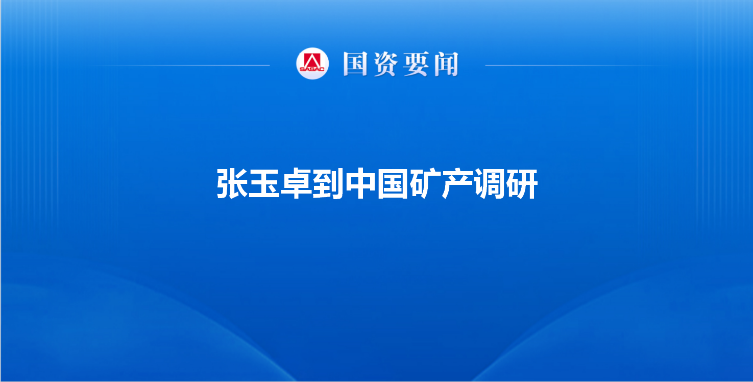 张玉卓到中国矿产调研强调 坚持开放协同合作共赢 打造世界...