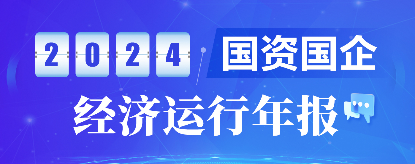 2024年国资国企经济运行年报